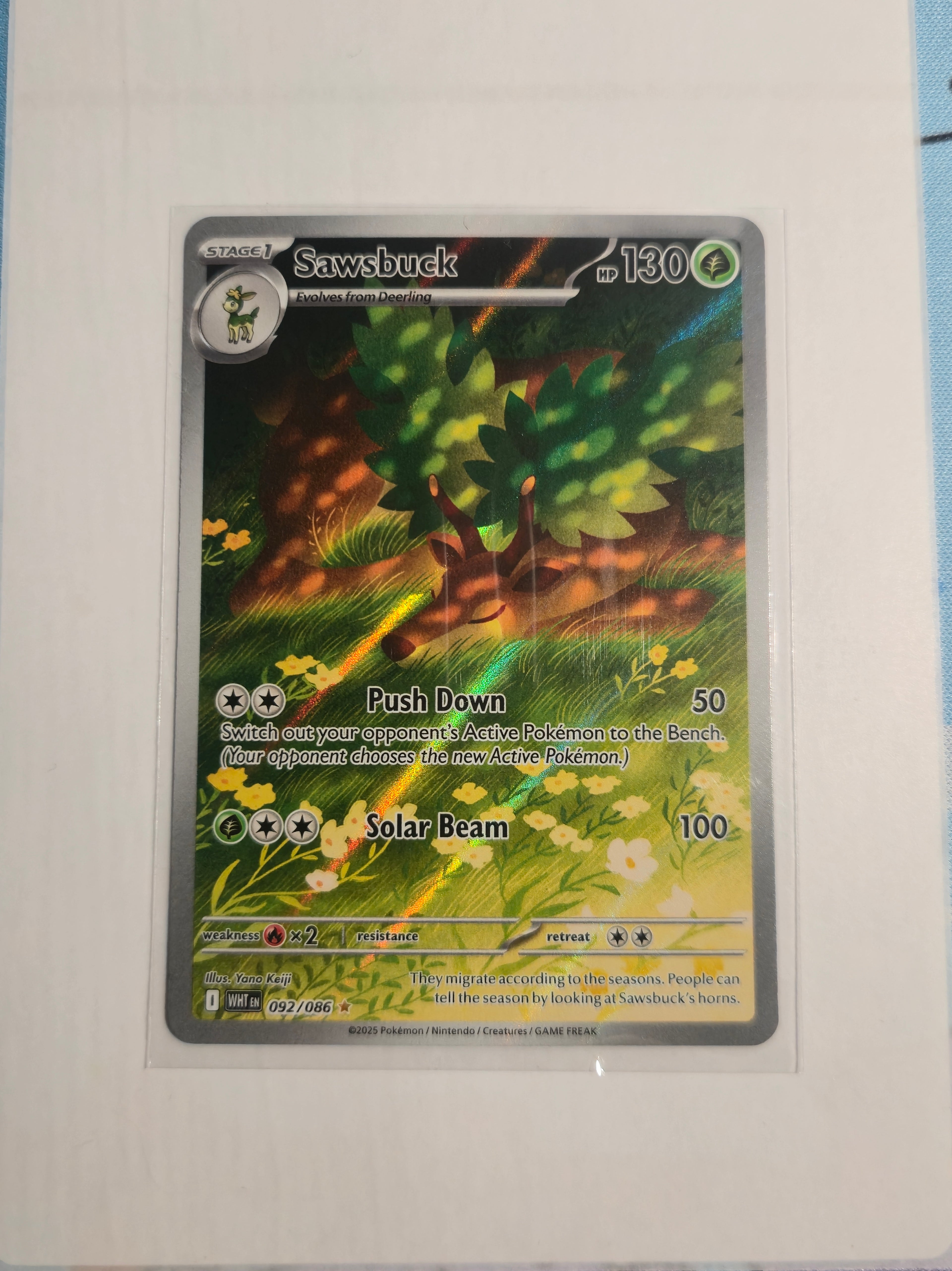 Sawsbuck -#092/086